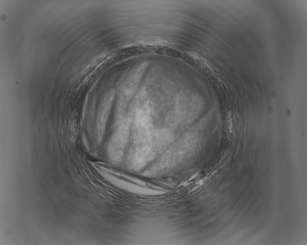 X0000068821110200605261543