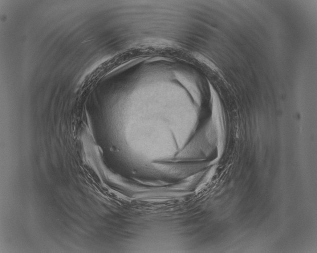 X0000068821112200605261543