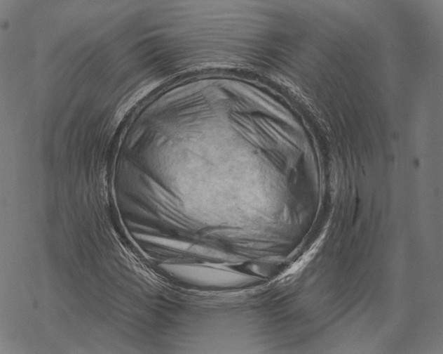 X0000068821113200605261543