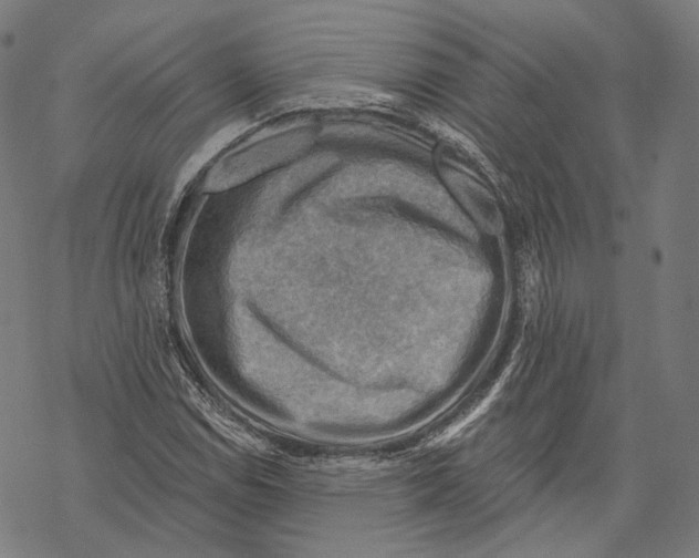 X0000068821114200605261544