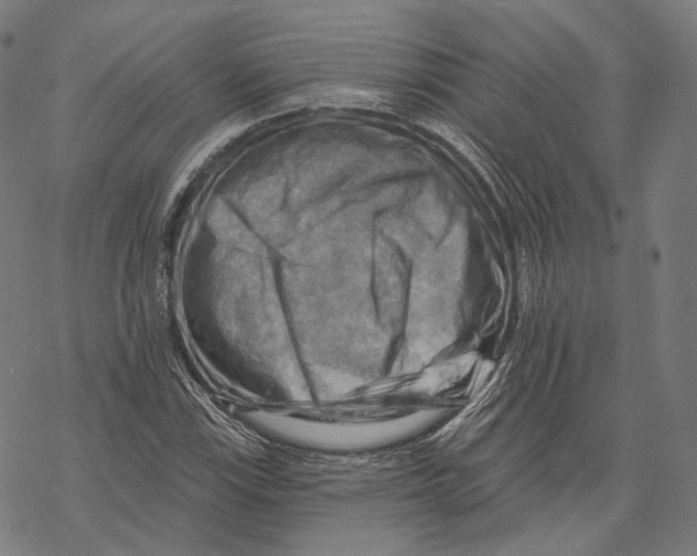 X0000068821115200605261544
