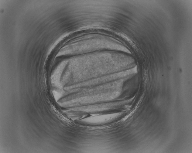 X0000068821118200605261544