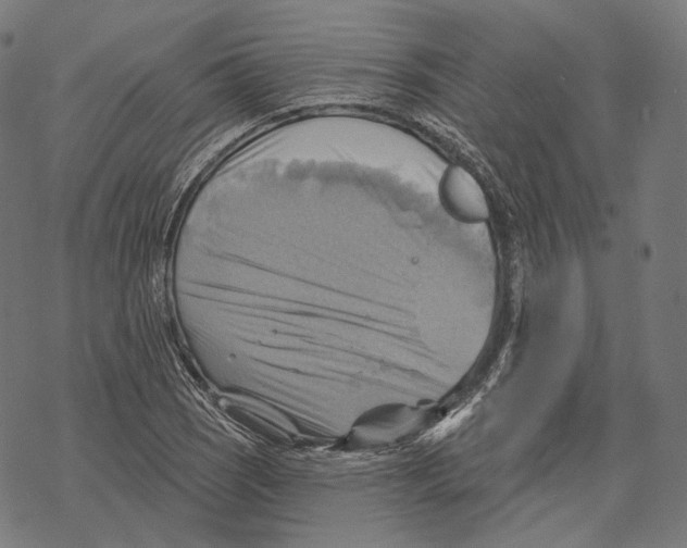 X0000068821121200605261544