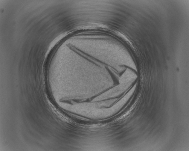 X0000068821122200605261544
