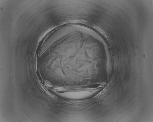 X0000068821127200605261544