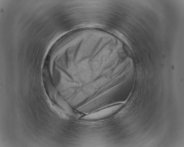 X0000068821132200605261544