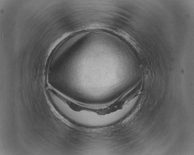 X0000068821134200605261544