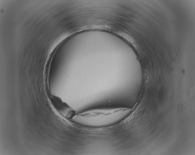X0000068821135200605261544