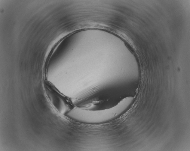 X0000068821136200605261544