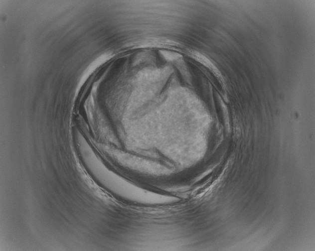 X0000068821138200605261544