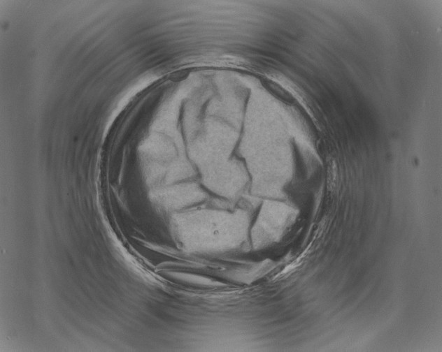 X0000068821139200605261544