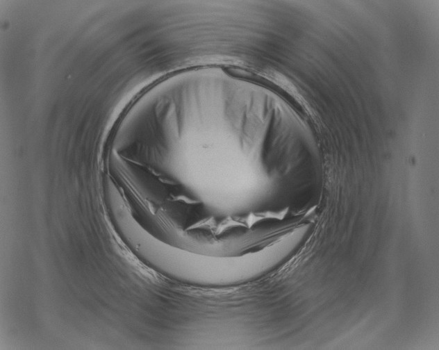 X0000068821140200605261544