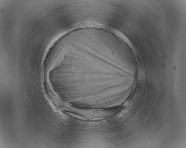 X0000068821144200605261544