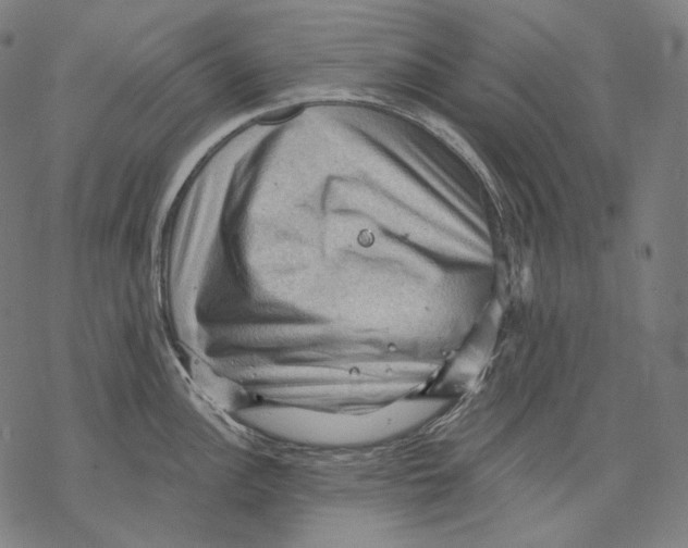 X0000068821148200605261544