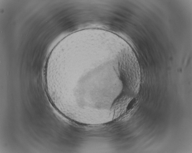 X0000068821151200605261544