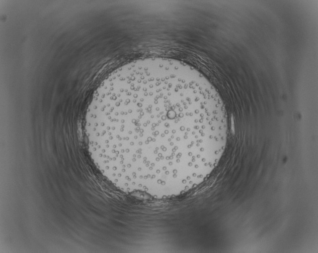 X0000068821155200605261543
