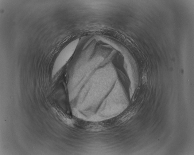 X0000068821156200605261543