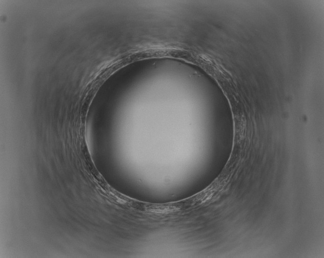 X0000068821157200605261543