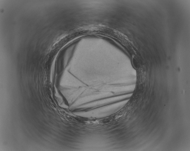 X0000068821158200605261543