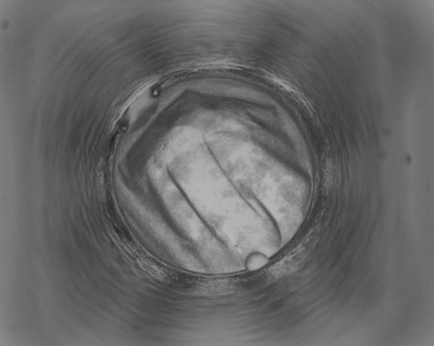 X0000068821162200605261543