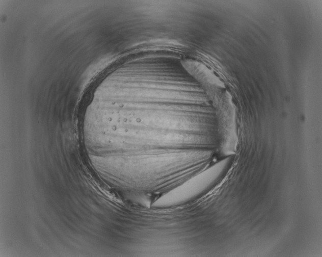 X0000068821164200605261543