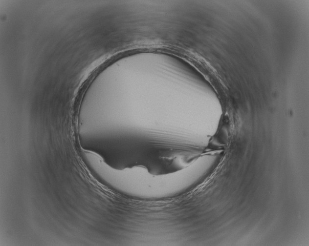 X0000068821168200605261543
