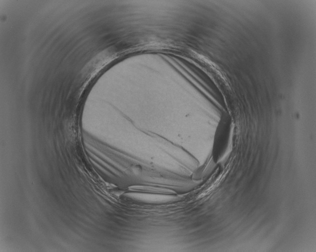 X0000068821170200605261543