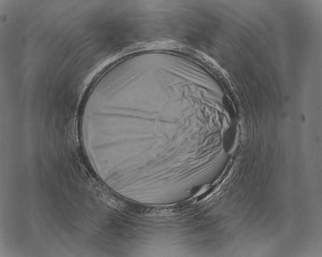 X0000068821174200605261543