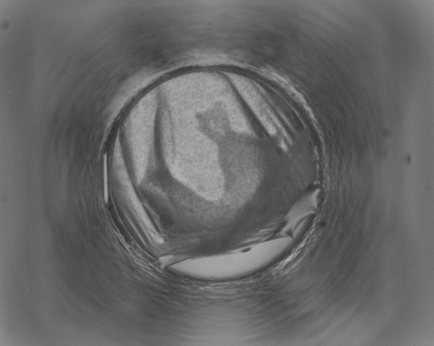 X0000068821175200605261543