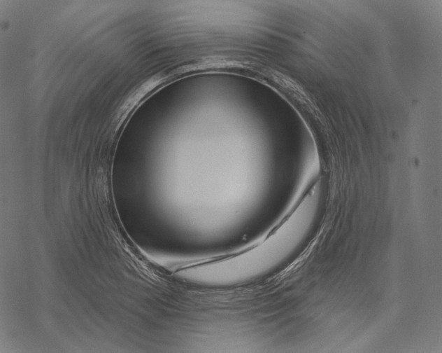 X0000068821177200605261543
