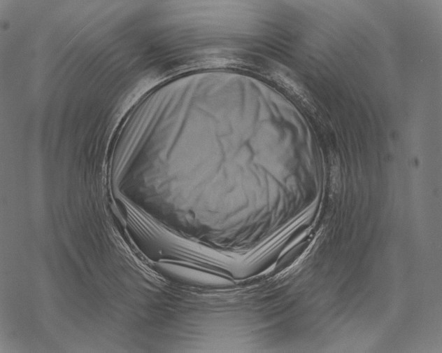 X0000068821178200605261543