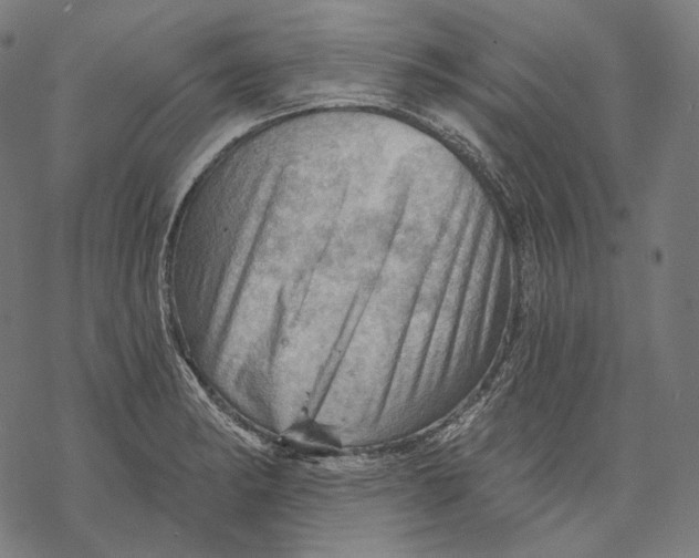 X0000068821182200605261543