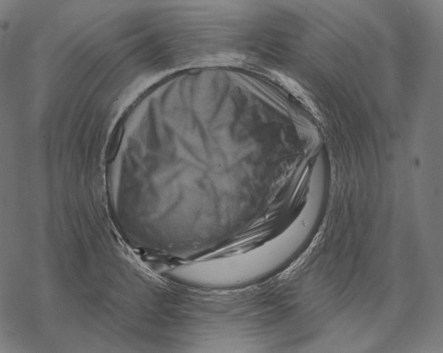X0000068821184200605261543