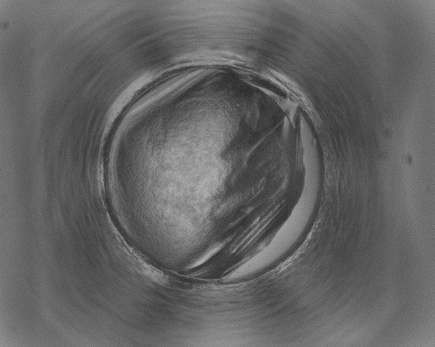 X0000068821188200605261543