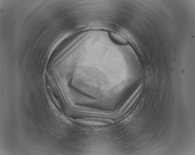 X0000068821190200605261543