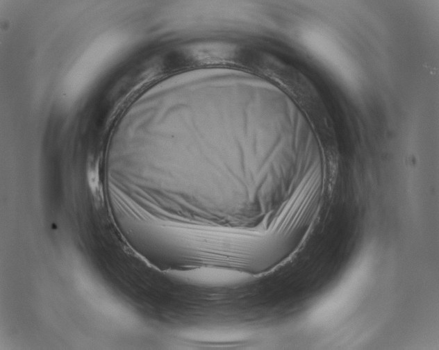 X0000068821198200605261543