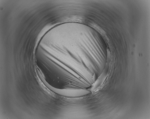 X0000068821200200605261543