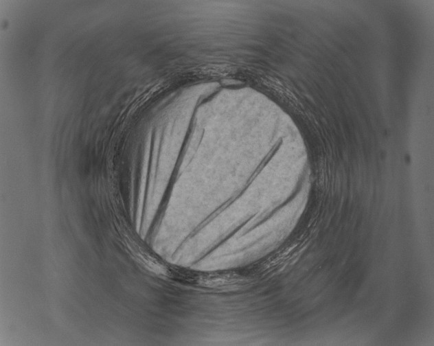 X0000068821201200605261542