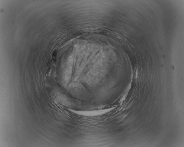 X0000068821202200605261542
