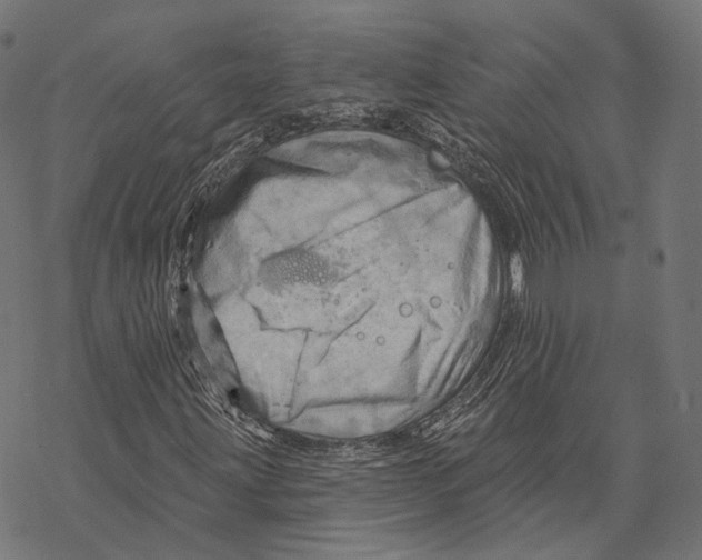 X0000068821203200605261542