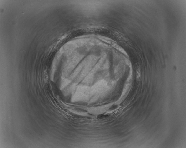 X0000068821204200605261542