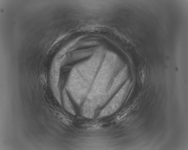 X0000068821206200605261542