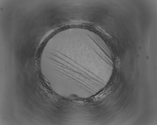 X0000068821208200605261542