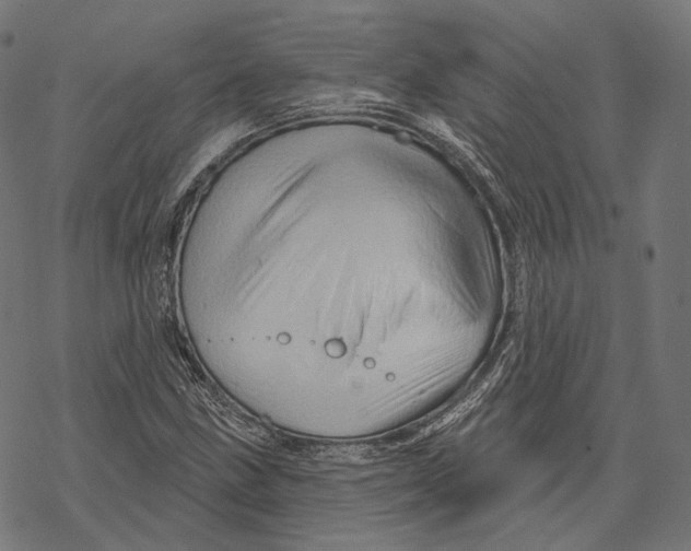 X0000068821211200605261542