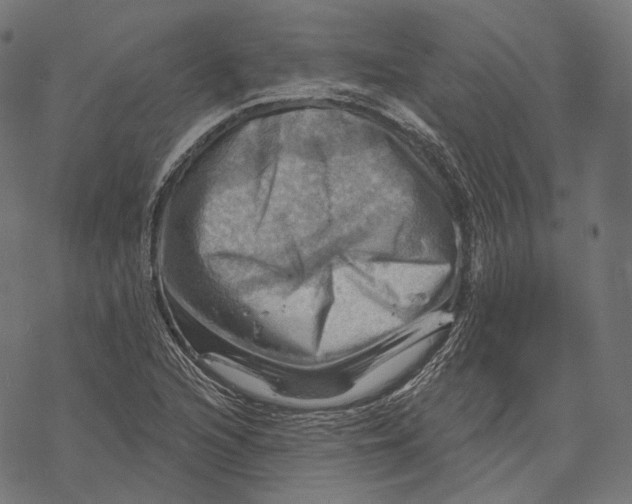 X0000068821216200605261542