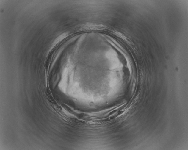 X0000068821219200605261542