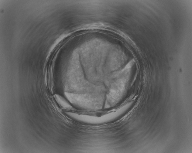 X0000068821224200605261542