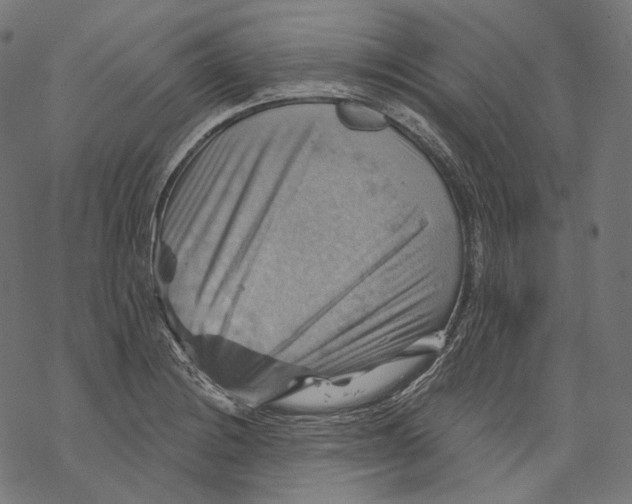 X0000068821228200605261542