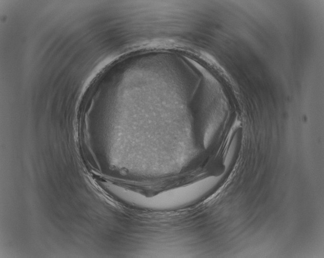 X0000068821232200605261542