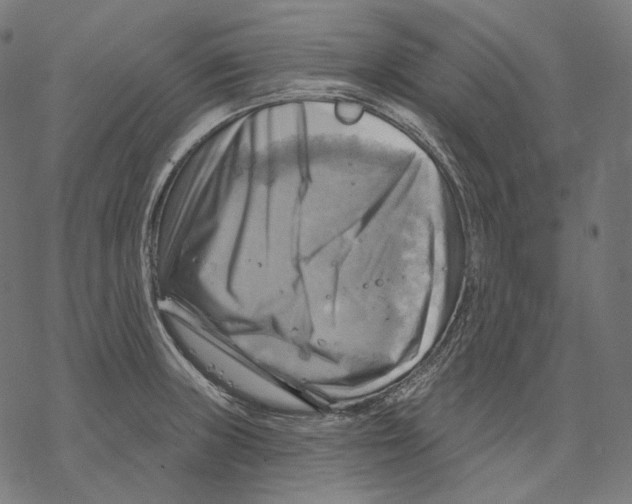 X0000068821235200605261542